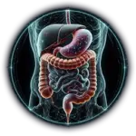 body imaging radiology calculator li-rads o-rads pi-rads ti-rads liver testis ovary volume