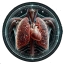 cardiothoracic imaging