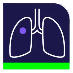 lung_rads_calculator