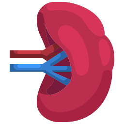 spleen volume splenic index calculator