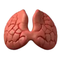 Thyroid volume i-131 dose calculator