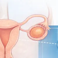 ovarian and testicular volume estimation using ellipsoid formula with ovary and testis volume calculator