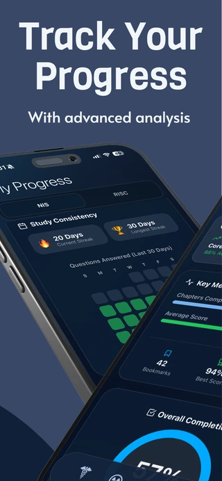 App Dark Mode and Customization