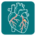 CAD-RADS calculator for coronary CT angiography