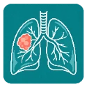 ACR Lung-RADS calculator for lung cancer screening CT