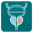 PI-RADS calculator for prostate MRI