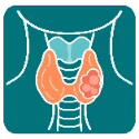 ACR TI-RADS calculator for thyroid nodules